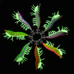 Turluttes crevettes phosphorescentes - 8 pièces - Vignette | Mister Fisher