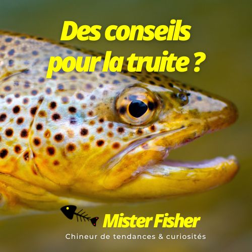 pêche truite