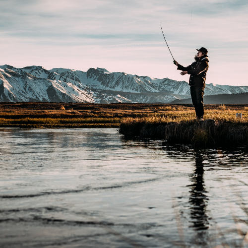 Astuces de pêche de Mister Fisher