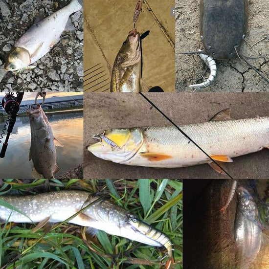 Assortiments de leurres pour brochet - 5 pièces Mister Fisher