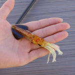 Leurre calamar - 14 cm - 35 g Mister Fisher